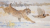 Copley Fine Art Auctions - The Winter Sale 2023