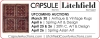 Capsule/Litchfield Auctions - 20th C. Art & Design