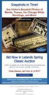 Bid Now in Lelands Spring Classic Auction