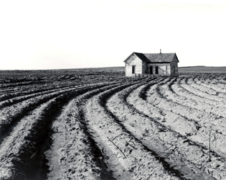 Emphasizing the deep tractor furrows winding toward an abandoned home, Dorothea Lang's "Tractored Out, Childress County, Texas,” 1938, conveyed both the human and natural tolls of the Dust Bowl. Oakland Museum of California, City of Oakland, Gift of Paul S. Taylor. ©The Dorothea Lange Collection, Oakland Museum of California, City of Oakland, Gift of Paul S. Taylor.