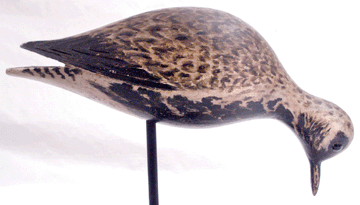 The A.E. Crowell black bellied plover in spring plumage from the Mackey collection, one of legendary "dust jacket birds,” was termed "arguably the finest Crowell shorebird ever to come to auction,” by auctioneer Gary Guyette prior to the sale. It sold after an intense bidding battle for a record price paid at auction for a decoy at $830,000.