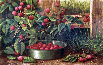 This 12-by-18-inch oil on canvas still life of raspberries, by Levi Wells Prentice (1851–1935), sold for $52,875; the consignor bought it at a garage sale for just $10. 