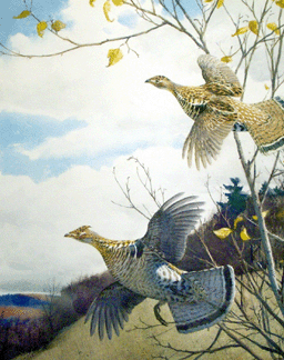 Aiden Lassell Ripley (1896–1969), "Grouse in Flight,” watercolor, 25½ by 21½ inches, signed lower right, "A. Lassell Ripley.”