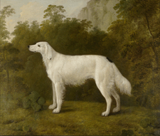 An English Setter in a Landscape John Boultbee oil on canvas 28200