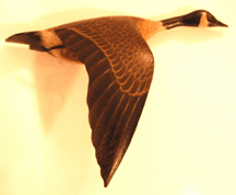 The Crowell miniature flying goose sold at 17250