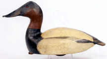 A high head canvasback drake by the Ward Brothers Crishfield Md sold for 39100