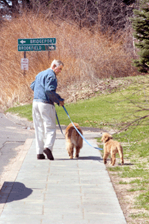 Dogs have been on the Bee payroll since at least the time that Scudders aptly named mutt Tiquer first signed her name to her ghostwritten weekly gossip column Pooch Pause Above Scudder walks Starr and Rosie goldens who share office duties with Davids chocolate lab Deeke