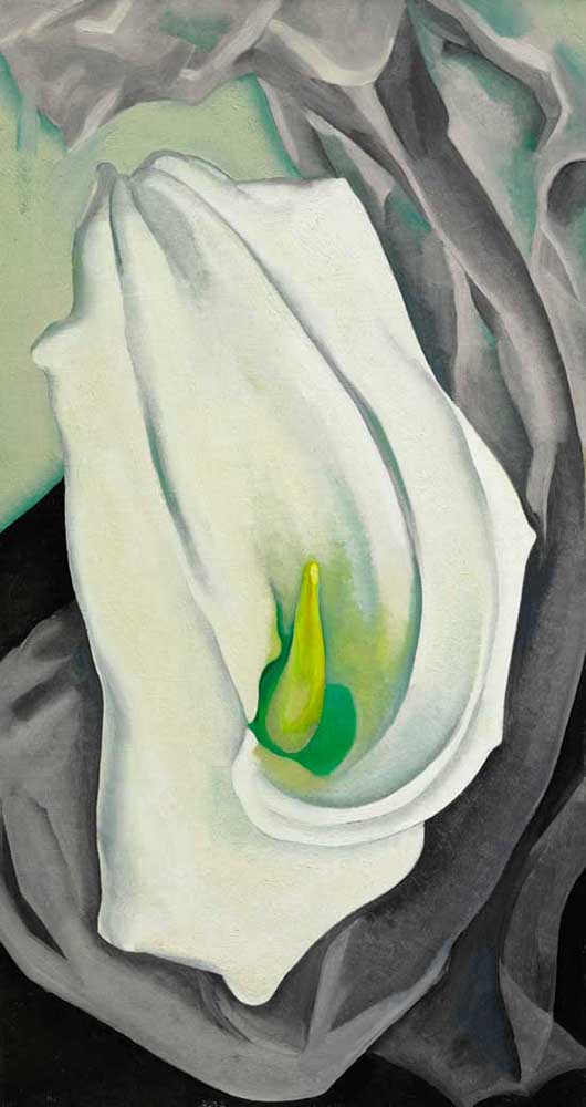 6-19 American Art Roundup 9350 lot 14 O'Keeffe, White Calla Lily