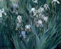 Iris at Dawn Maria Dewing 1899 Oil on canvas acquired earlier this year by the Hood Museum of Art Dartmouth College Hanover NH