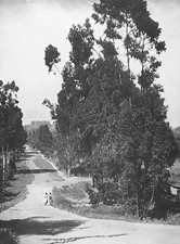 Near Hollywood California Langdon Coburn 1911 reached 23000