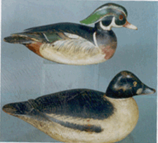 Crowell goldeneye bottom 15400 Ward working wood duck drake 13475