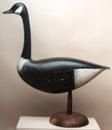 Canada goose by Sam Soper 46750