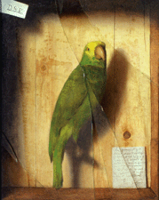 Homage to a Parrot SS David De Scott Evans circa 1890 Oil on canvas from the collection Fresno Metropolitan Museum of Art History and Science
