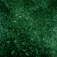 Large Field III 2001 Oil on panel