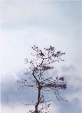 Untitled Clouds Tree Crow Emma Tapley 2000 Oil on panel