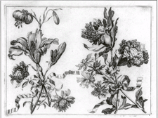 Blumen Duft Johann Christoph Weigl circa 1700