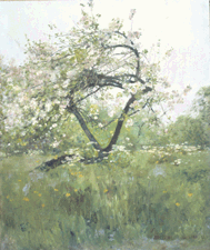 Peach BlossomsVilliers le Bel Childe Hassam circa 188789 Oil on canvas