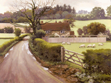 Chipping on Norton Cotswold acrylic