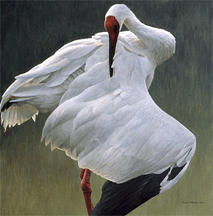 Defensive Stand Siberian Crane Robert Bateman 1999 Acrylic on canvas from a private collection