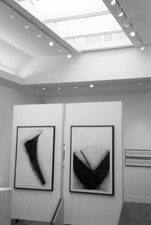 Fleet Gallery with its 80foot skylight illuminating both the Fleet and Robert Douglas Hunter spaces with natural light
