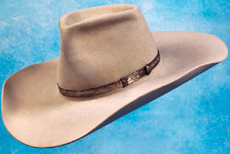  John Wayne's Stetson hat broke all records when it sold for $86,250.