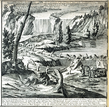 Detail of an engraving showing beavers near Niagara Falls on a 1720 map by Herman Moll.
