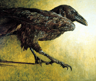 Wyeth's study of birds, including normally elusive species, has led to a series of unforgettable portraits, including this striking closeup view, "Raven,†1980. Collection of Brandywine River Museum. ©Jamie Wyeth.