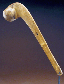 Ball-headed war club, Algonkian, Northeast United States, before 1650, possibly sycamore. 