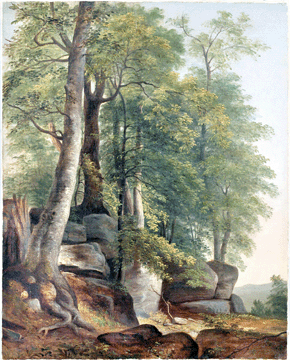 Asher B. Durand, "Landscape with Rocks and Trees,†circa 1845, oil on canvas, 20 by 16 inches, National Academy Museum.