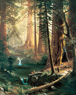 Albert Bierstadt (1830‱902), "Giant Redwood Trees of California,†circa 1874,  oil on canvas, 52 by 42¼ inches, gift of Zenas Crane, collection of Berkshire Museum, Pittsfield, Mass.