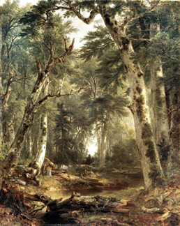 According to curator Linda S. Ferber, "In the Woods,†1855, a quintessential forest interior painting, "arguably marked the apex of Durand's achievement†and was hailed as "something new in landscape art.†The Metropolitan Museum of Art (SAAM exhibition).