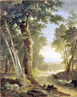 Durand's "The Beeches,†1845, a large (60 by 48 inches) vertical landscape in which the wooded foreground frames an expansive vista of mountains and clouds, was much admired when exhibited at the National Academy of Design. The Metropolitan Museum of Art (SAAM exhibition).