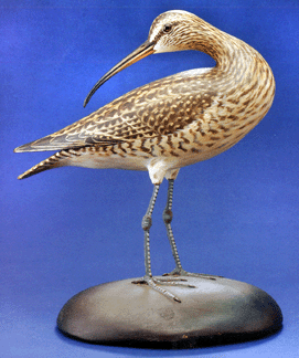 The preening Hudsonian curlew marked with the rectangular stamp was hammered down at $69,600.