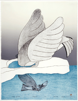 Qavaau Mannumi, "Timiaq Iqualuktuk (Bird Caught Its Fish).†⁋atherine Wetzel photo, ©2007 Virginia Museum of Fine Arts