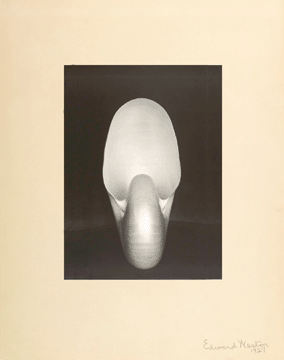 Edward Weston, "Nautilus,†1927, sold for $1,105,000, a record for the artist at auction.