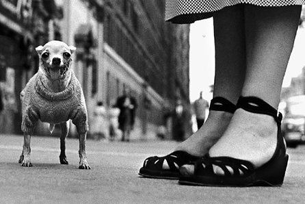 Elliott Erwitt (b 1928), "New York City,†1946, gelatin silver print on paper. ©Elliott Erwitt and Magnum Photos. Exhibition is organized and circulated by art2art traveling exhibitions.