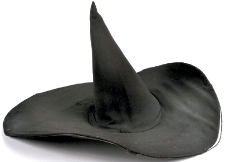 The top lot of the sale was the Wicked Witch of the West's hat from The Wizard of Oz, which sold for $208,250.