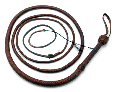 Harrison Ford's Indiana Jones bullwhip fetched $70,437.