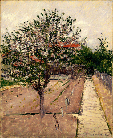 A strong painter and master of perspective, Gustave Caillebotte depicted both urban scenes and, especially in the 1880s, rural views, such as "Apple Tree in Bloom,†circa 1885. A generous supporter of his fellow Impressionists, he is increasingly recognized as one of the best.