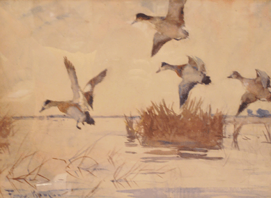 "Wigeon,†a watercolor by Frank Benson, went out at $141,500.