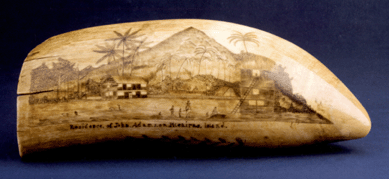 The scrimshawed whale tooth depicting the "Residence of John Adams [bounty mutineer Alexander Smith], Pitcairn Island†hammered down at more than triple the high estimate at $144,500. 