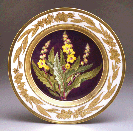Plate with Yellow Flowers (Verbascum blattarioides) on a Dark Ground, Royal Porcelain Manufactory, Berlin, Germany, 1809-13, hard-paste porcelain, diameter 9 ½ inches. Twinight collection.
