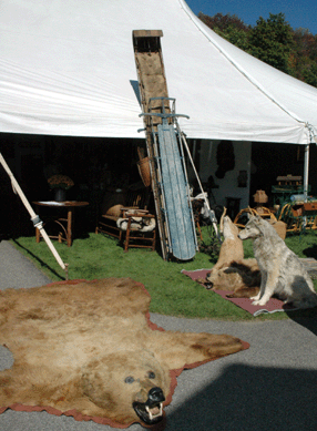 Field & Stream Antiques, Mansfield, Conn.