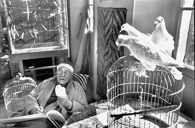 Henri Cartier-Bresson (1908′004), "Henri Matisse at his home, Villa Le Rêve,†1954, gelatin silver print on paper, 16 by 20 inches, collection of Robert M. Infarinato, ©Fondation Henri Cartier-Bresson/Magnum Photos.