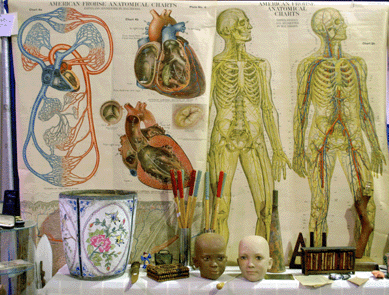 An anatomy lesson could be had for $195 at Courtleigh & Curran, Rockport, Mass.