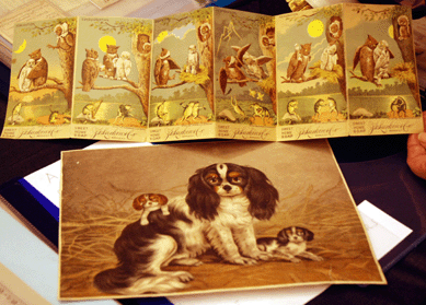 A 1930s litho of a King Charles spaniel and a fold-up advertising insert for JS Larkin Sweet Home soap at History Store, Dorset, U.K.