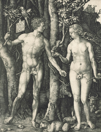 Albrecht Dürer "Adam and Eve,†1504, engraving in black ink on cream laid paper with a watermark of a bull's head (Meder 62), 9 13/16 by 7 9/16 inches.