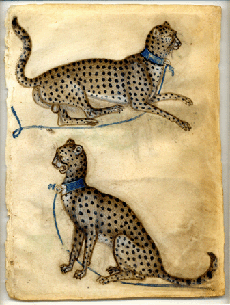 Anon Lombard, "Two cheetahs,†1400‱0, bodycolor and watercolor on vellum. A fine example of a model book drawing from north Italy where useful animal poses would be collected together as a storehouse for embellishing paintings and manuscripts. Copyright the Trustees of the British Museum.