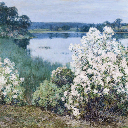 Willard L. Metcalf, "Kalmia,†1905, Florence Griswold Museum.  