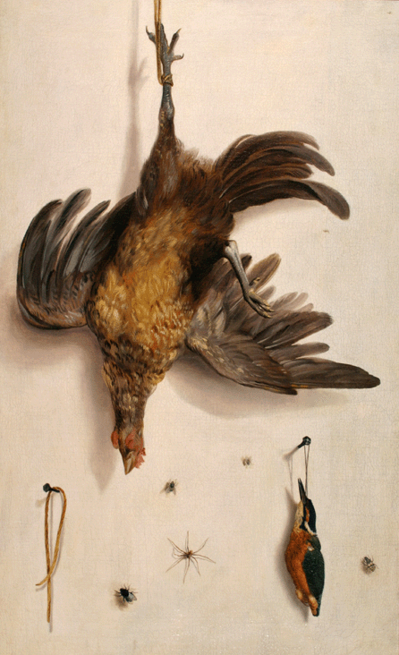 This masterful trompe l'oeil painting by Dutchman Jacobus Biltius, "A Trompe L'oeil: A Hen and Kingfisher Hanging on Strings Against a Whitewashed Wall, with a Spider, Flies and Other Insects Nearby,†circa 1670, makes viewers look closely to discern that it is an illusion.